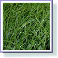 60 мм СПОРТИВНАЯ трава одноцветная