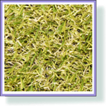 35 мм Ландшафтная трава