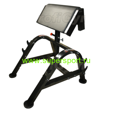 Скамья Скотта двусторонняя