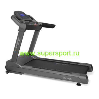 SVENSSON INDUSTRIAL GO T65 БЕГОВАЯ ДОРОЖКА