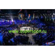 Арена для ММА с боевой зоной диам. 9м