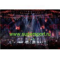 Арена для ММА с боевой зоной диам. 10м