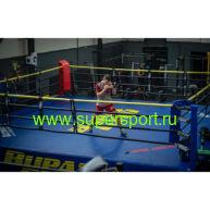 Ринг на помосте с боевой зоной 6,1 x 6,1 м.
