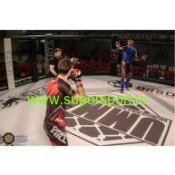 Клетка на подиуме малом ММА 5м