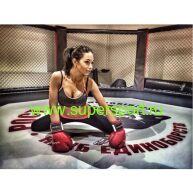 Клетка на подиуме малом ММА 6,5м