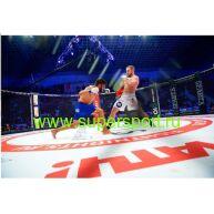 Арена-ринг "Трансформер" с боевой зоной диам. 9м