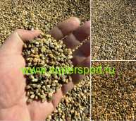 ������ ����� 3-5 ��