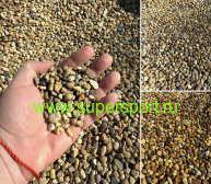 ������ ����� 5-10 ��