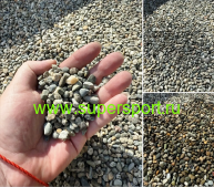 ������ ����� ������ 5-10 ��